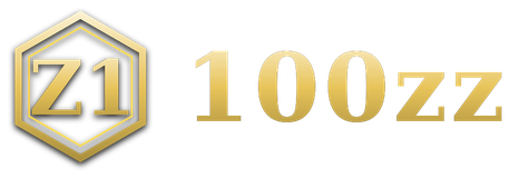 100zz logo